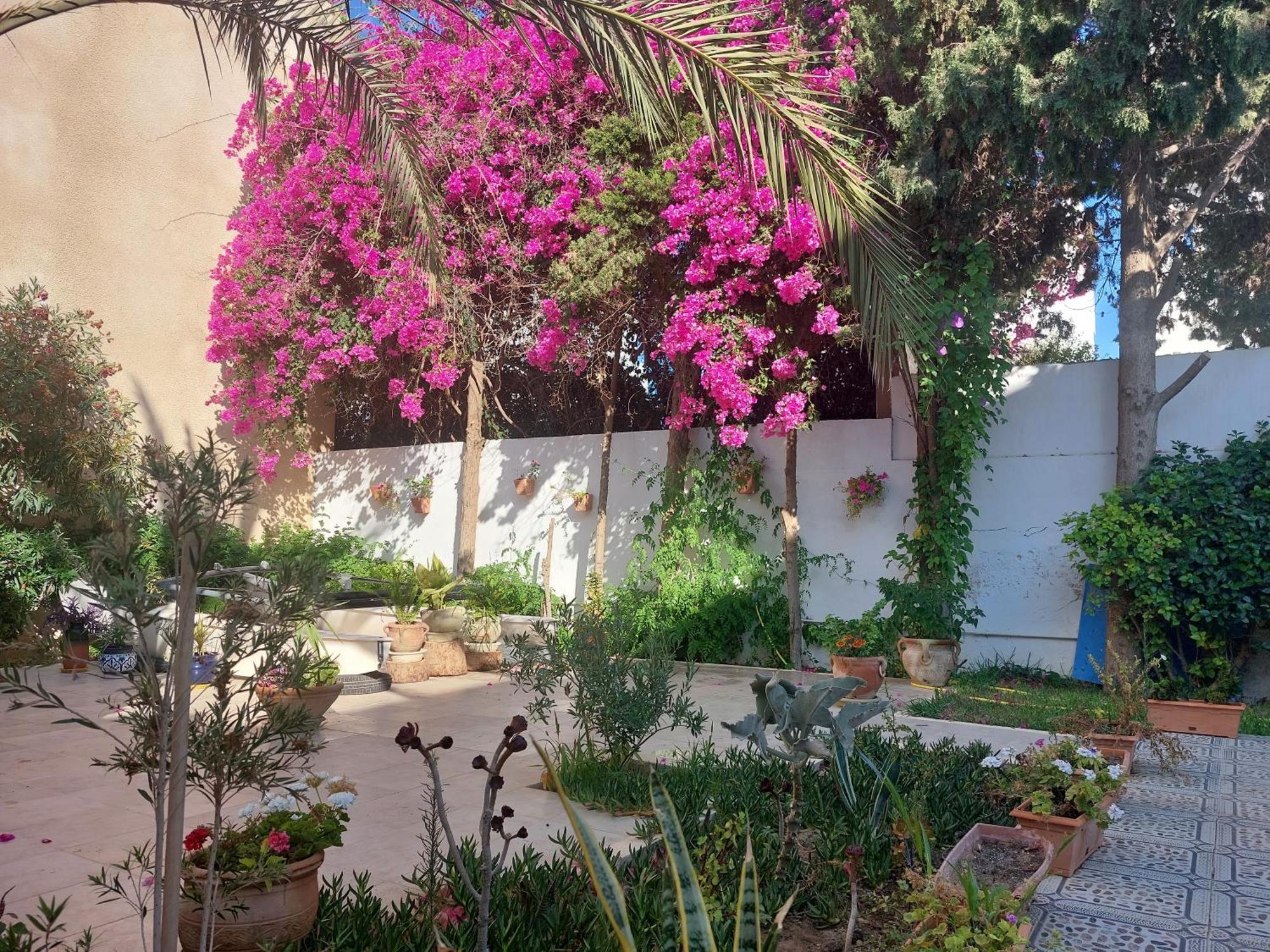 Villa Azaiiza Sousse Exterior photo